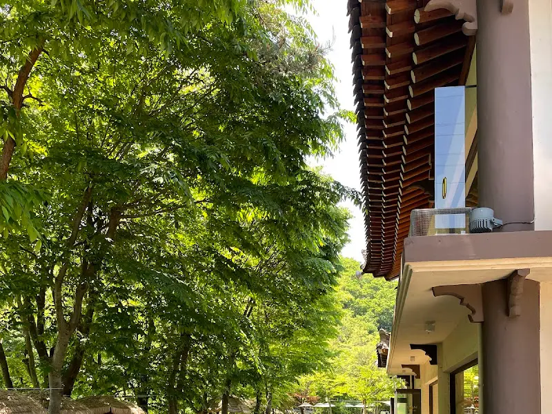 카페 옆을 흐르는 맑은 계곡물