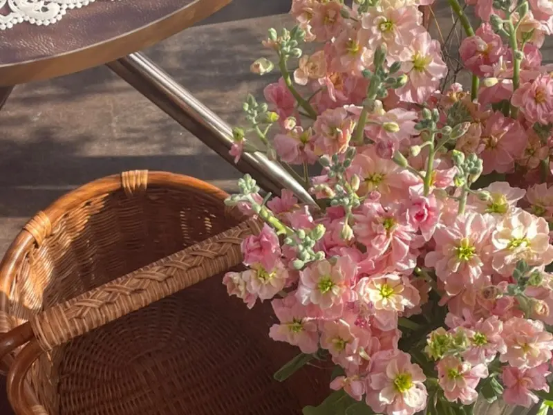 테이블 위의 꽃