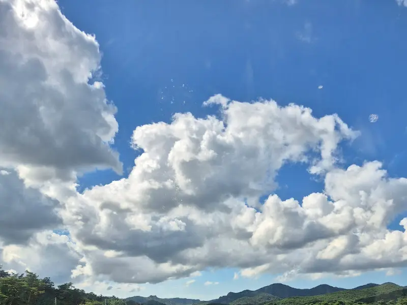 고창 연다원 하늘