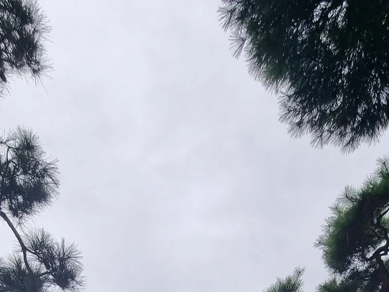 고창 연다원 하늘