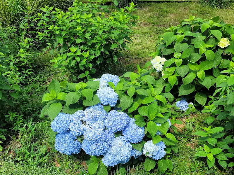 고창 연다원 내부