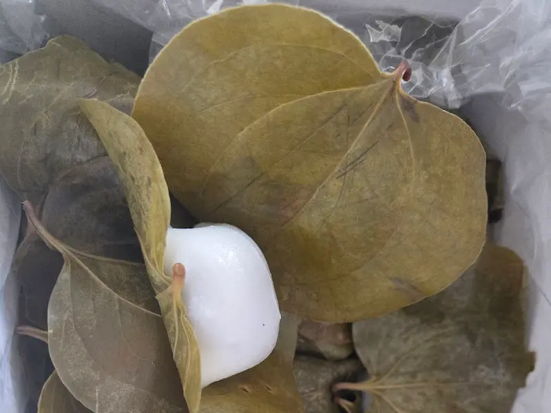 망개떡 상세 사진