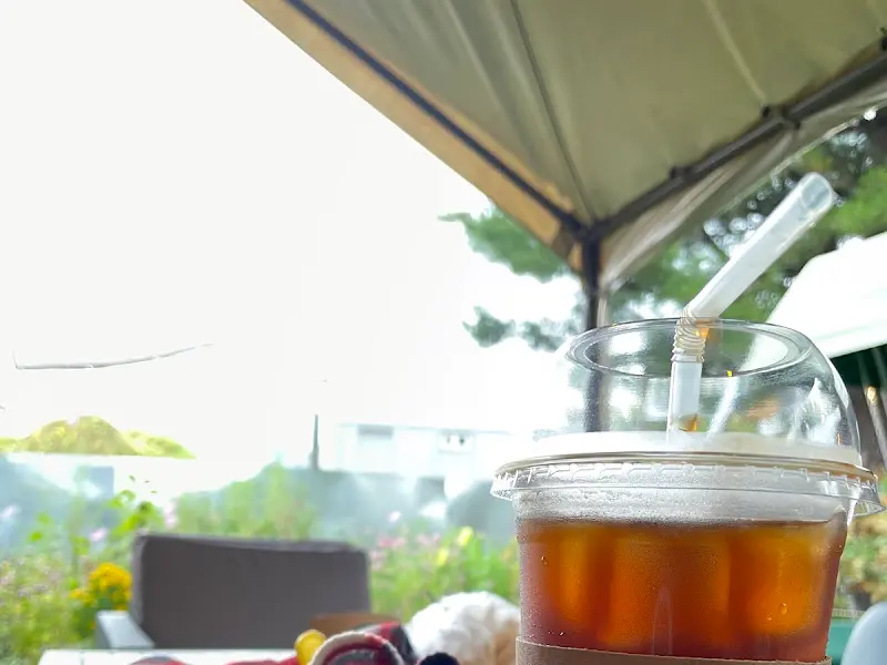 연양정원 오므라이스