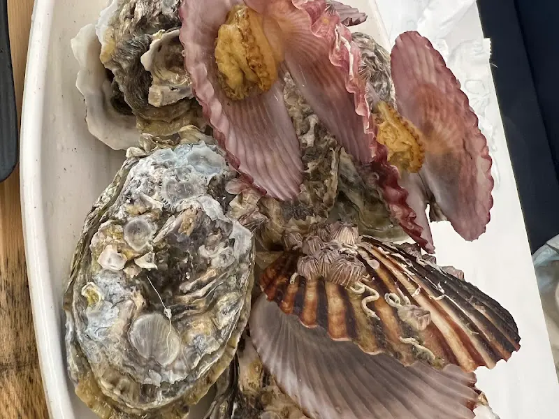 신선함이 살아있는 굴, 꼬막, 가리비