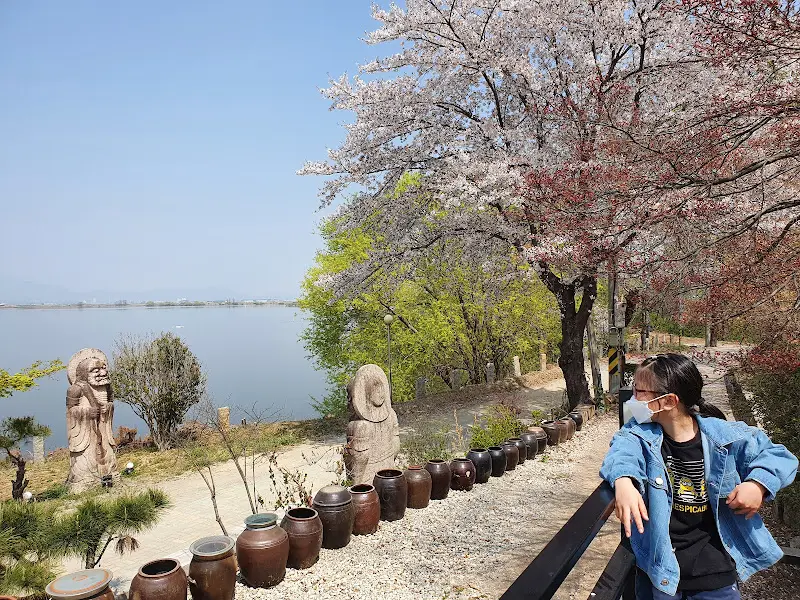 주남저수지 풍경과 철새