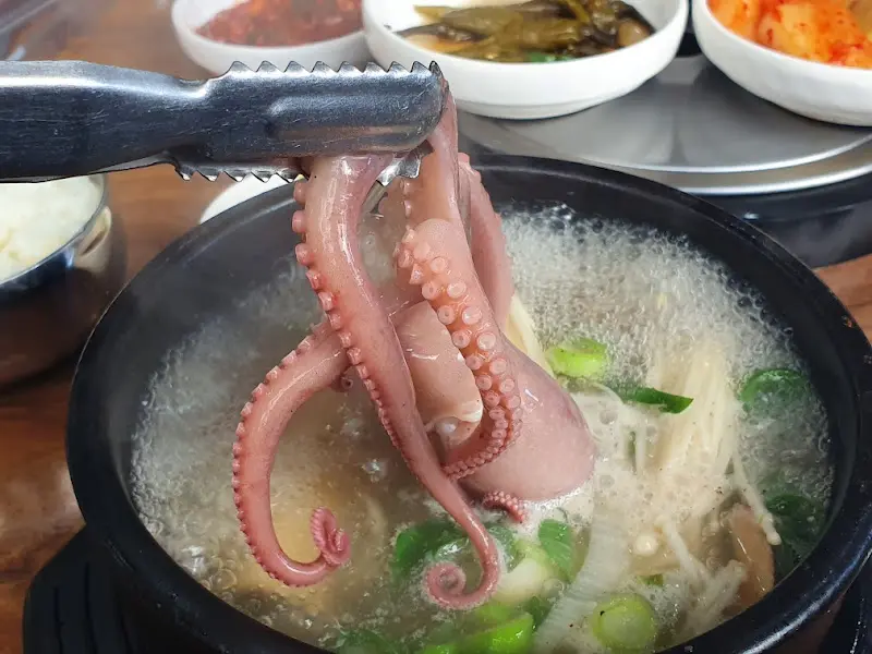 갈낙탕 낙지 클로즈업