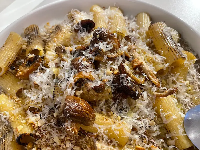 리가토니 파스타 확대샷