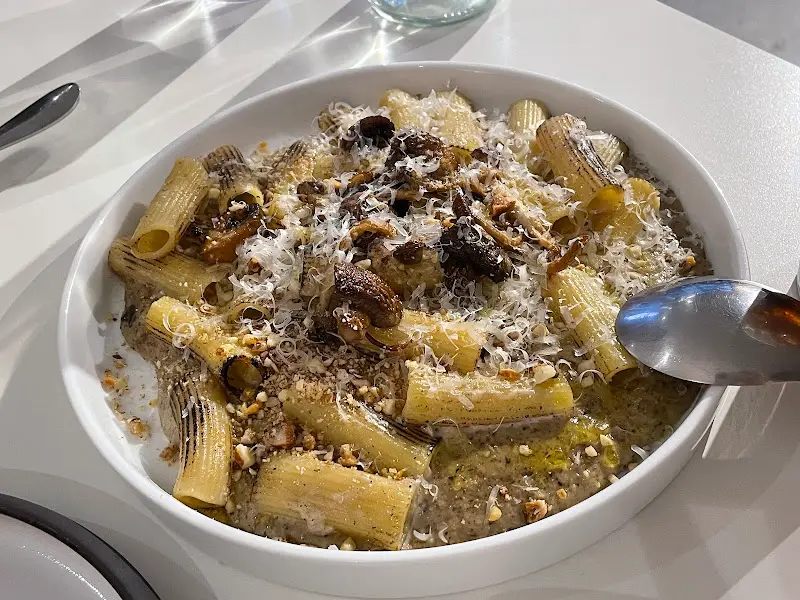 리가토니 파스타 전체샷