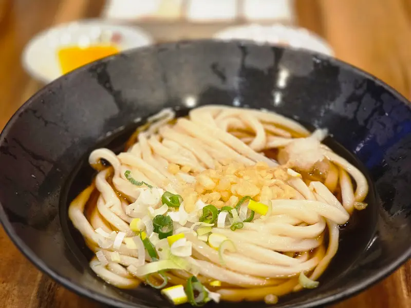 토핑이 더해진 붓카케 우동