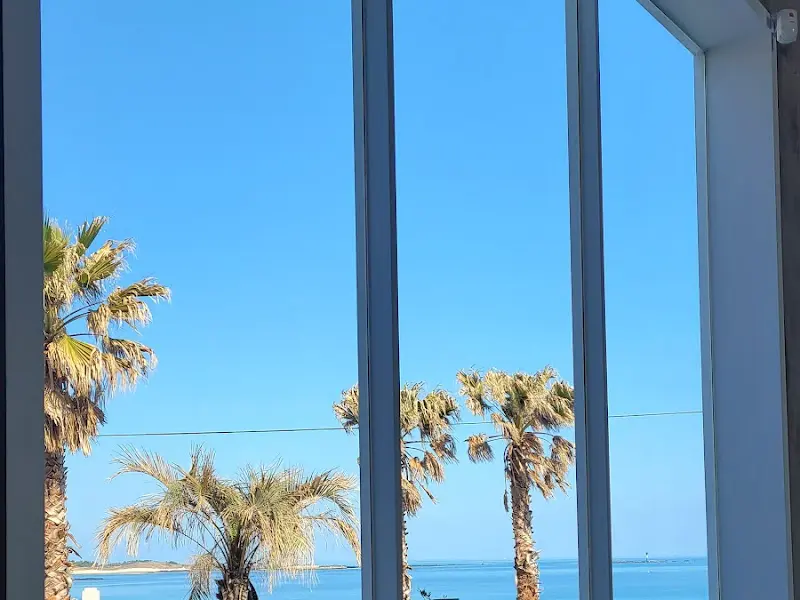 카페에서 보이는 야자수