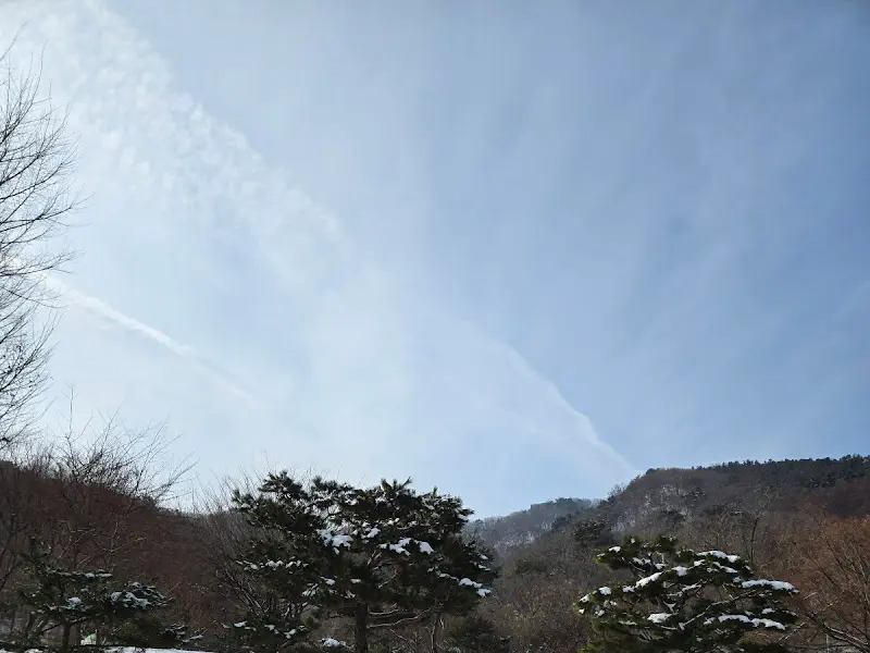 식당에서 바라본 겨울 풍경