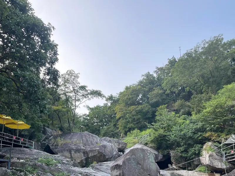 여름의 계곡 풍경