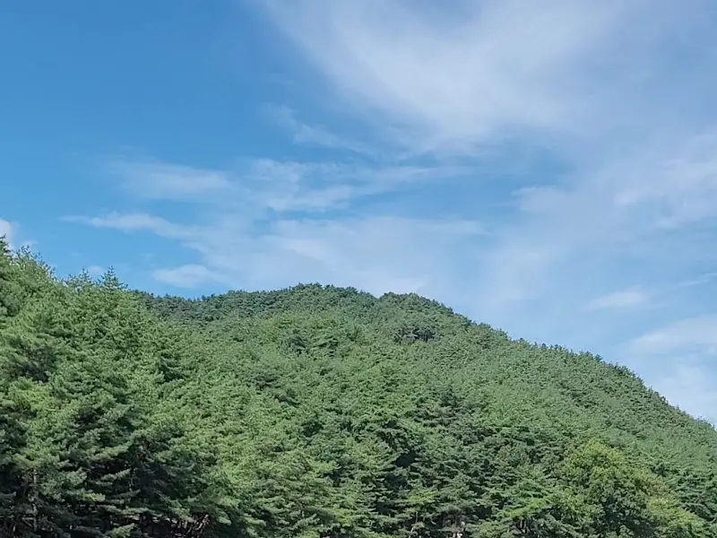 수승대를 둘러싼 푸른 산