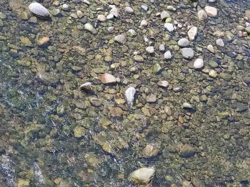 수승대의 아름다운 가을 풍경