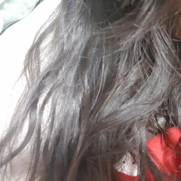 음식 근접 사진