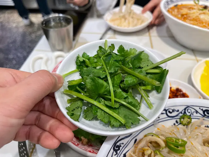 신선한 고수 한 접시