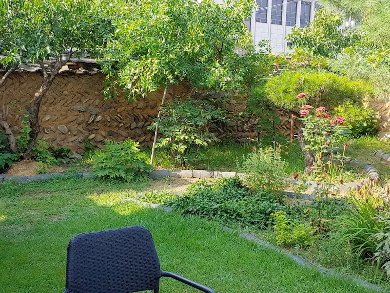 정원의 푸른 잔디와 나무