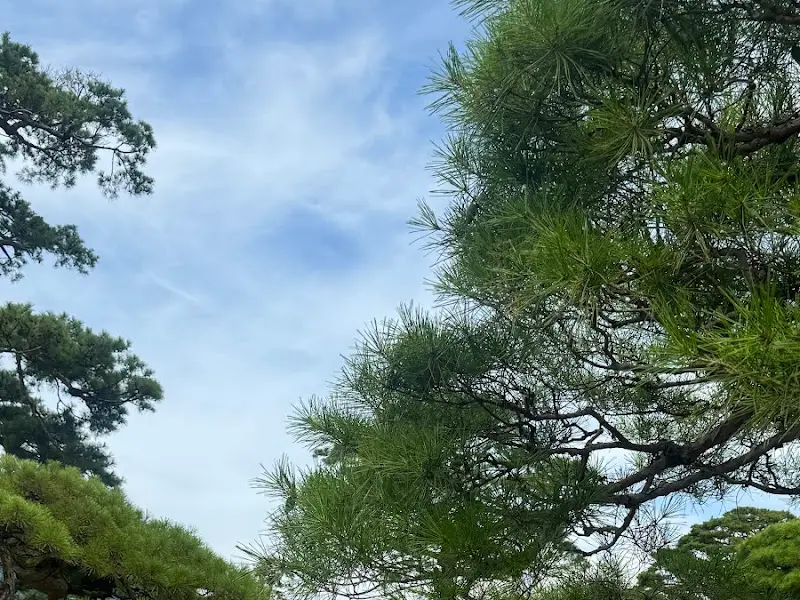 스완베이커리카페 주변 조경