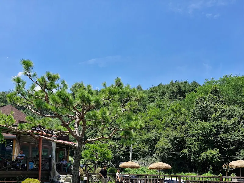 푸르른 금오산의 풍경