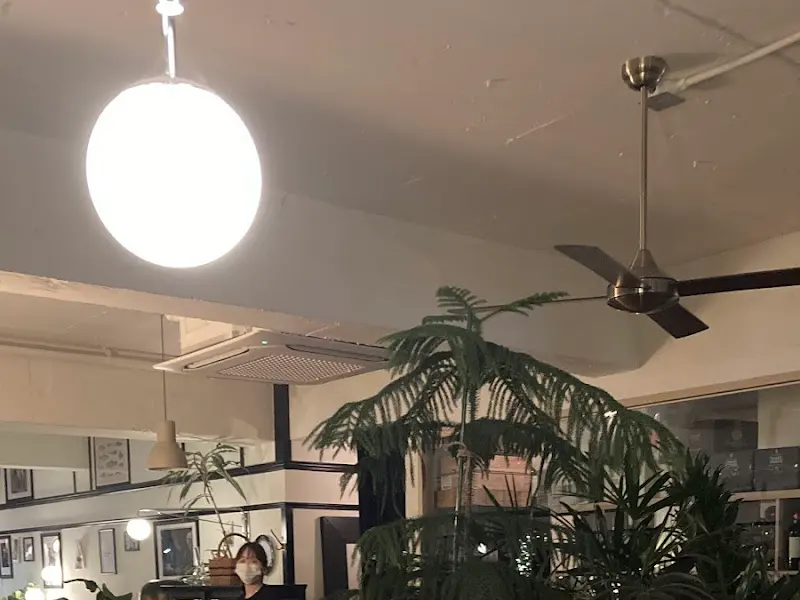 천장 조명과 식물