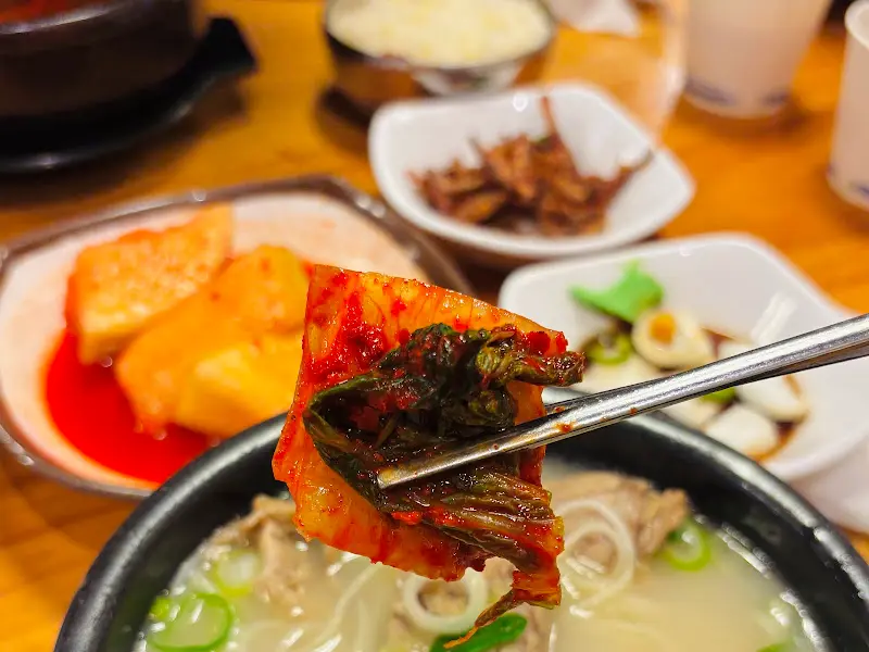 김치와 설렁탕