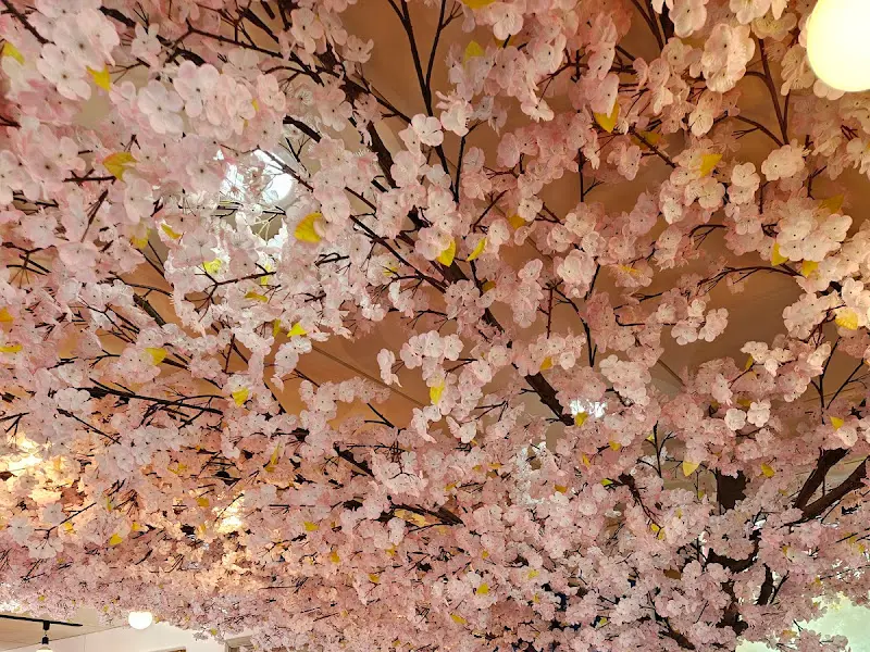 화려한 벚꽃 장식으로 눈이 즐거운 식당 내부