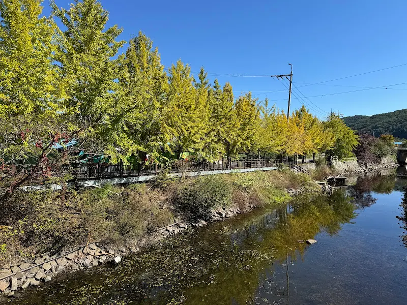 식당 앞 개울 풍경