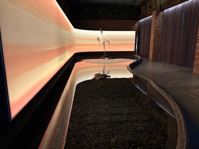 몽환적인 분위기의 미디어 아트가 설치된 바리루스 입구