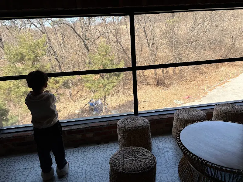 통창으로 햇살이 가득 들어오는 바리루스 내부