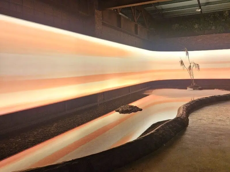 세련된 분위기 속에서 즐기는 맛있는 음식