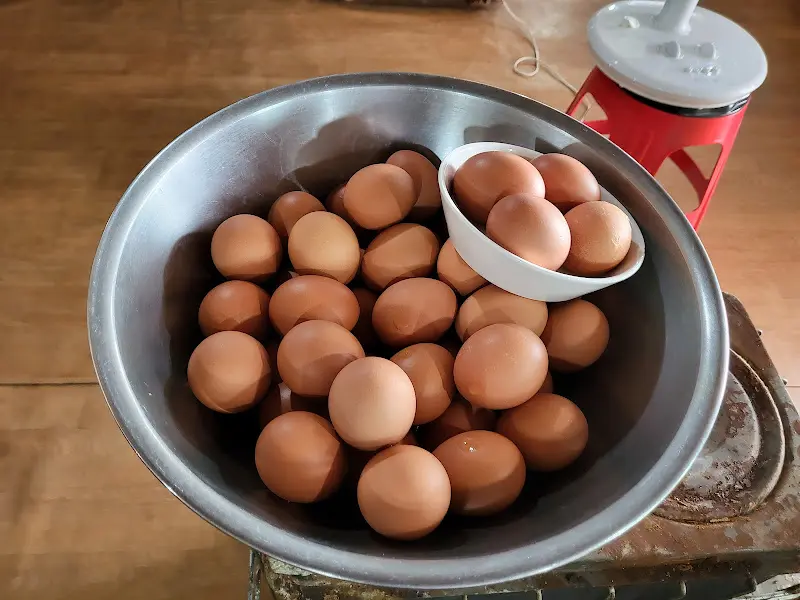 푸짐하게 담긴 삶은 계란