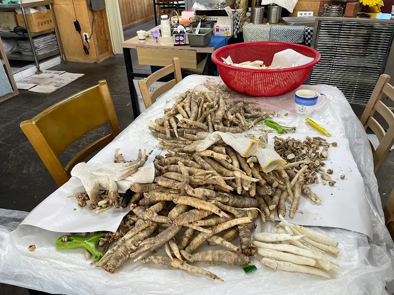 손질된 더덕의 모습