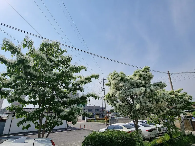 토담골 한우 곰탕 주변 풍경