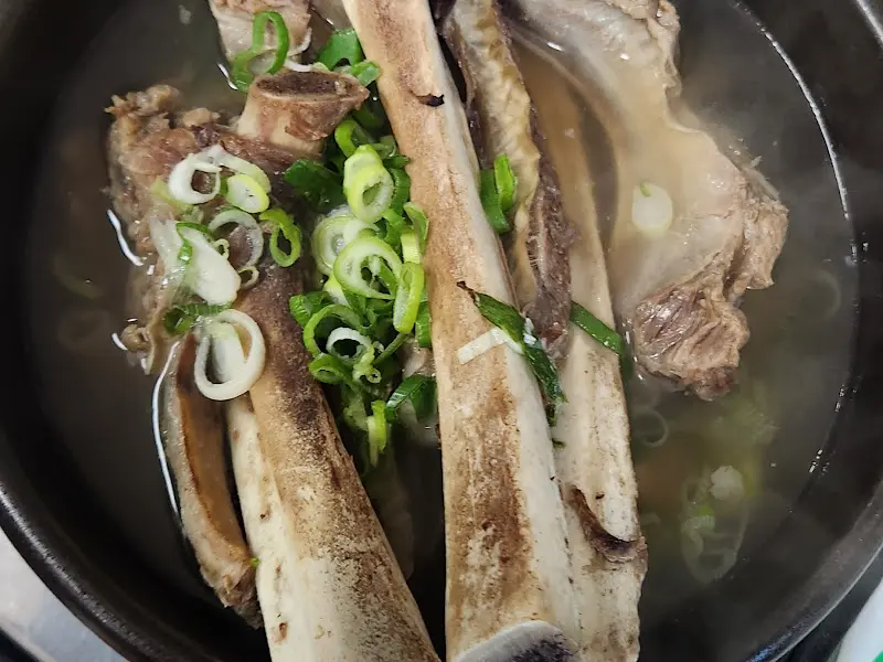 파가 듬뿍 올려진 쇠고기수프