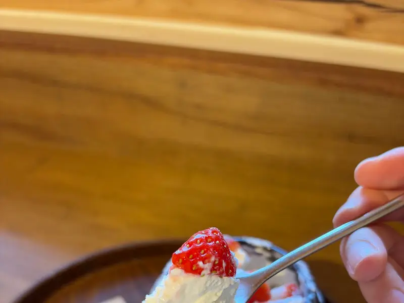 스푼으로 떠먹는 항아리 티라미수