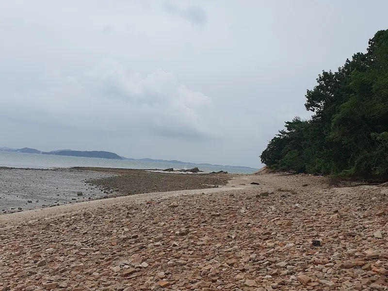 해변을 가득 메운 몽돌. 파도에 닳아 매끄러운 표면이 인상적이다.