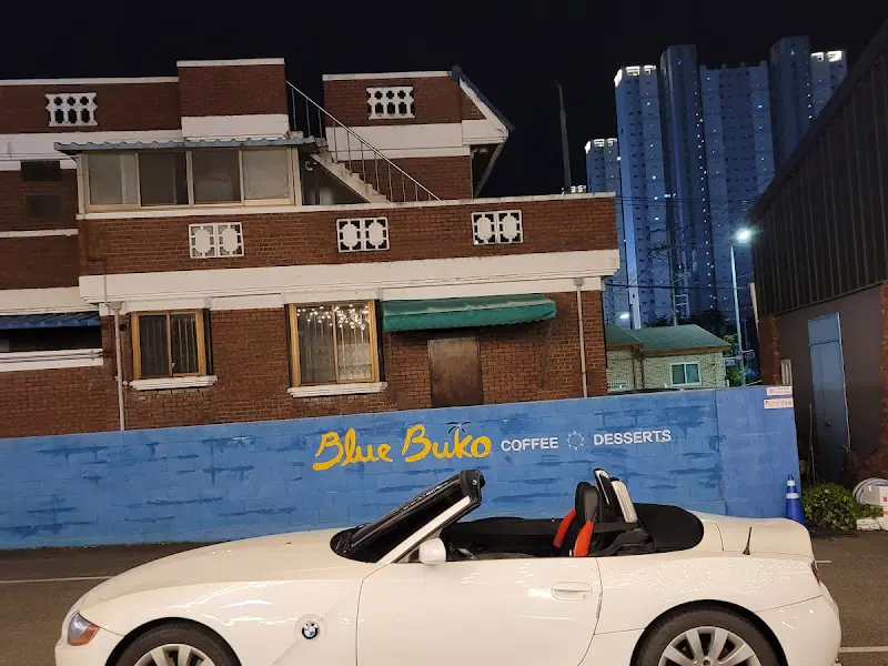 블루부코 야경