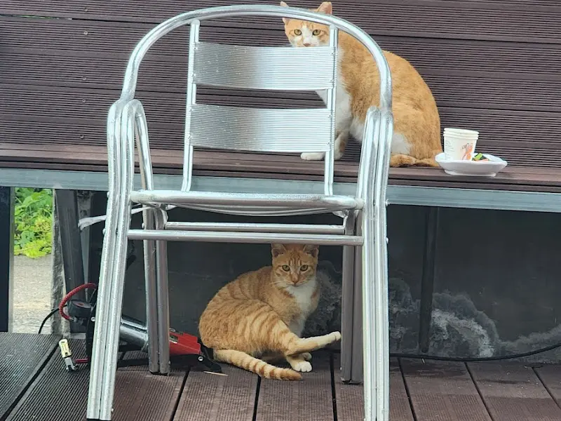 식당 주변 풍경