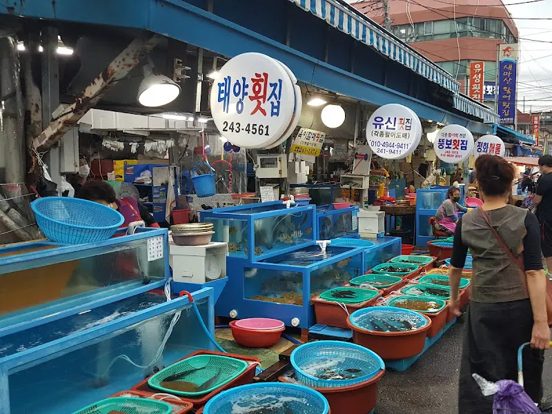 싱싱한 해산물이 가득한 수족관