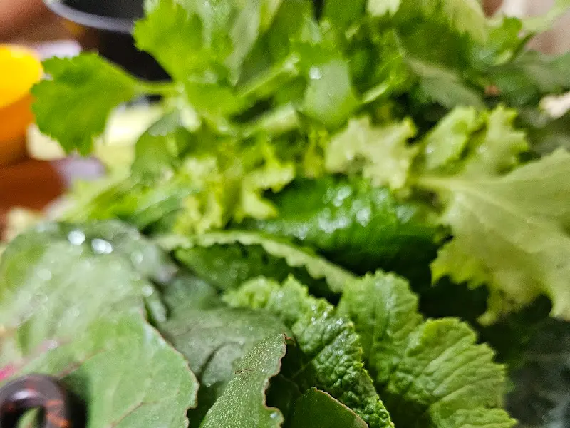 싱싱한 쌈 채소 한가득