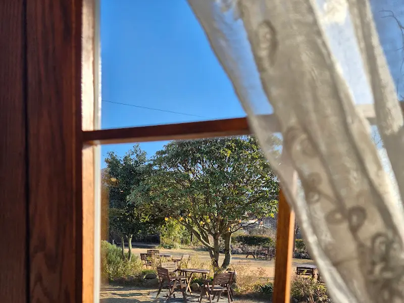 창밖으로 보이는 정원의 풍경