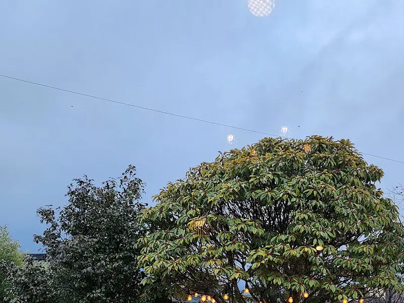 카페에서 올려다본 하늘