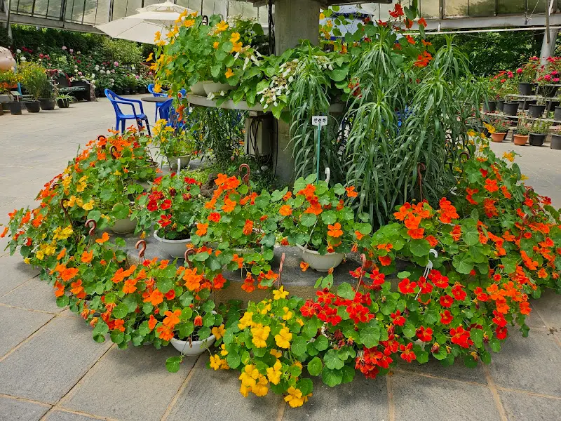 온실 안의 화려한 꽃들