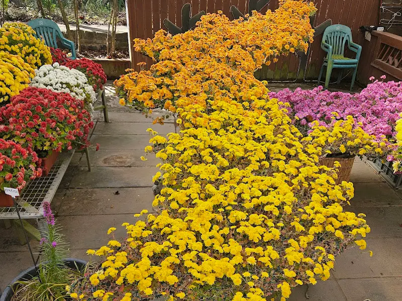 화려한 꽃들의 향연