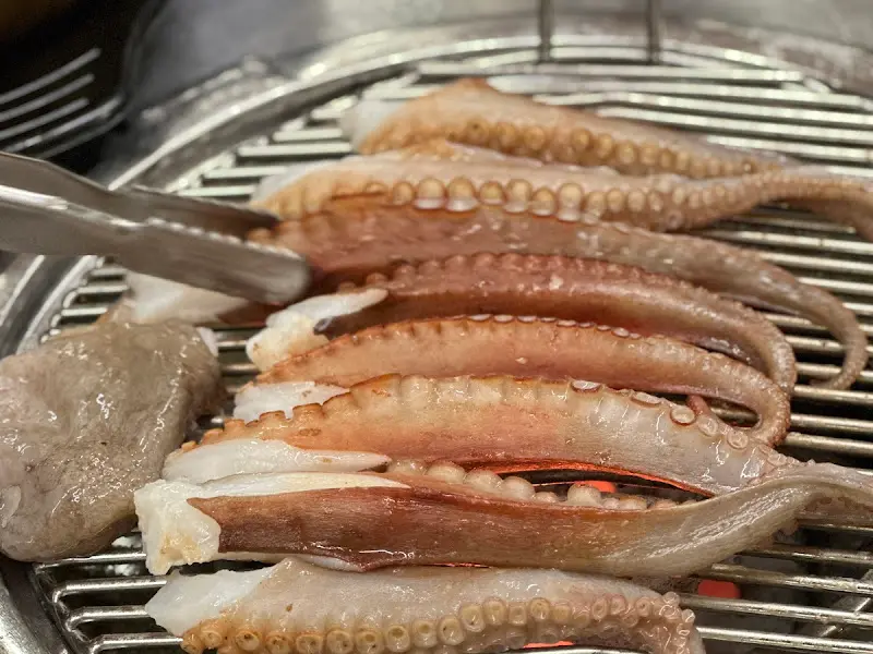 싱싱한 활문어의 자태