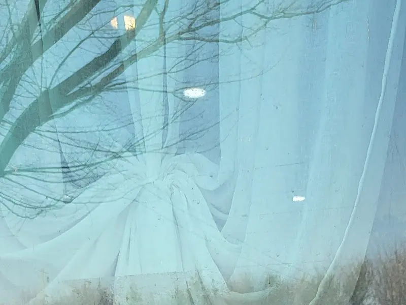 식당 창밖 풍경