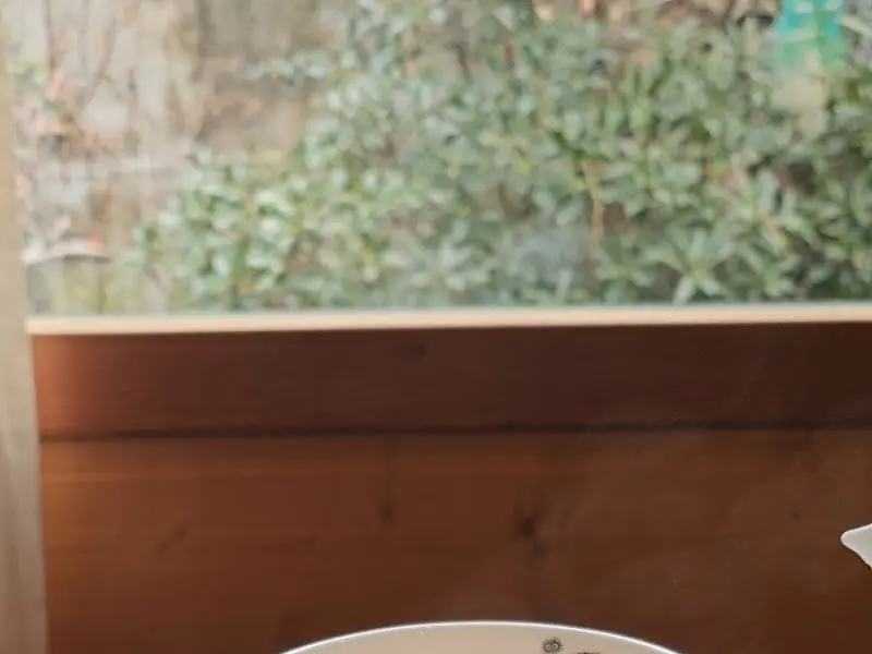 창밖으로 보이는 정원 풍경