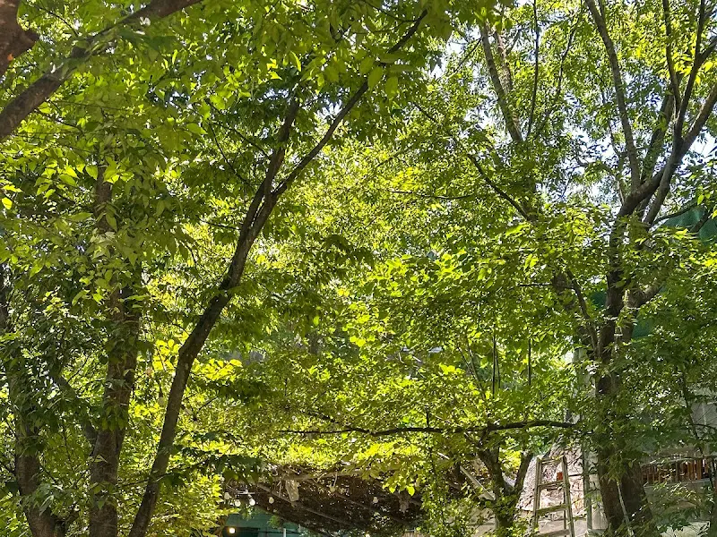 정미네 주변 풍경