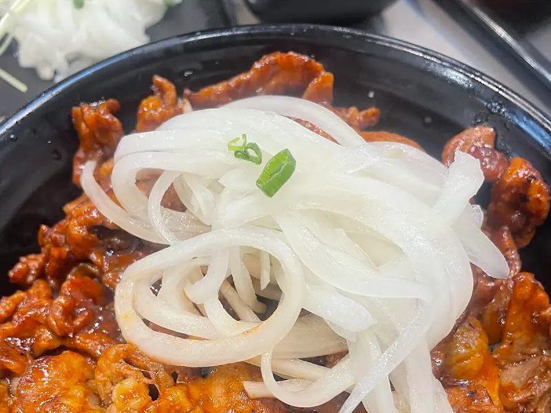 양파가 곁들여진 돼지고기 덮밥