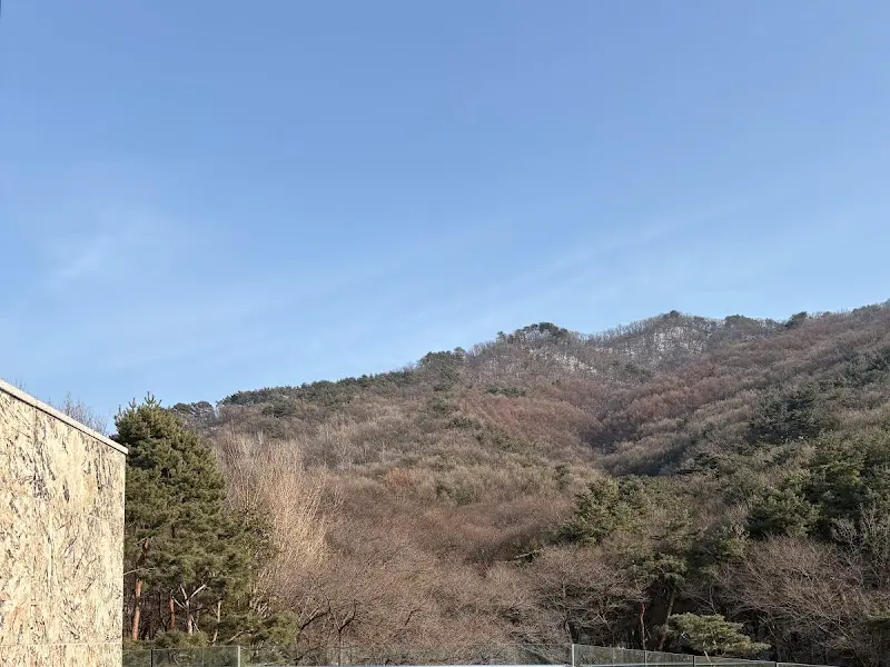 키스톤 스피시즈에서 보이는 산 뷰